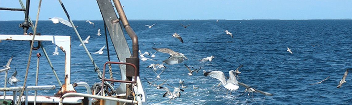 Commercial sea fishing - Protection and restoration of marine biodiversity  and ecosystems and compensation regimes in the framework of sustainable  fishing activities - Ribiški sklad